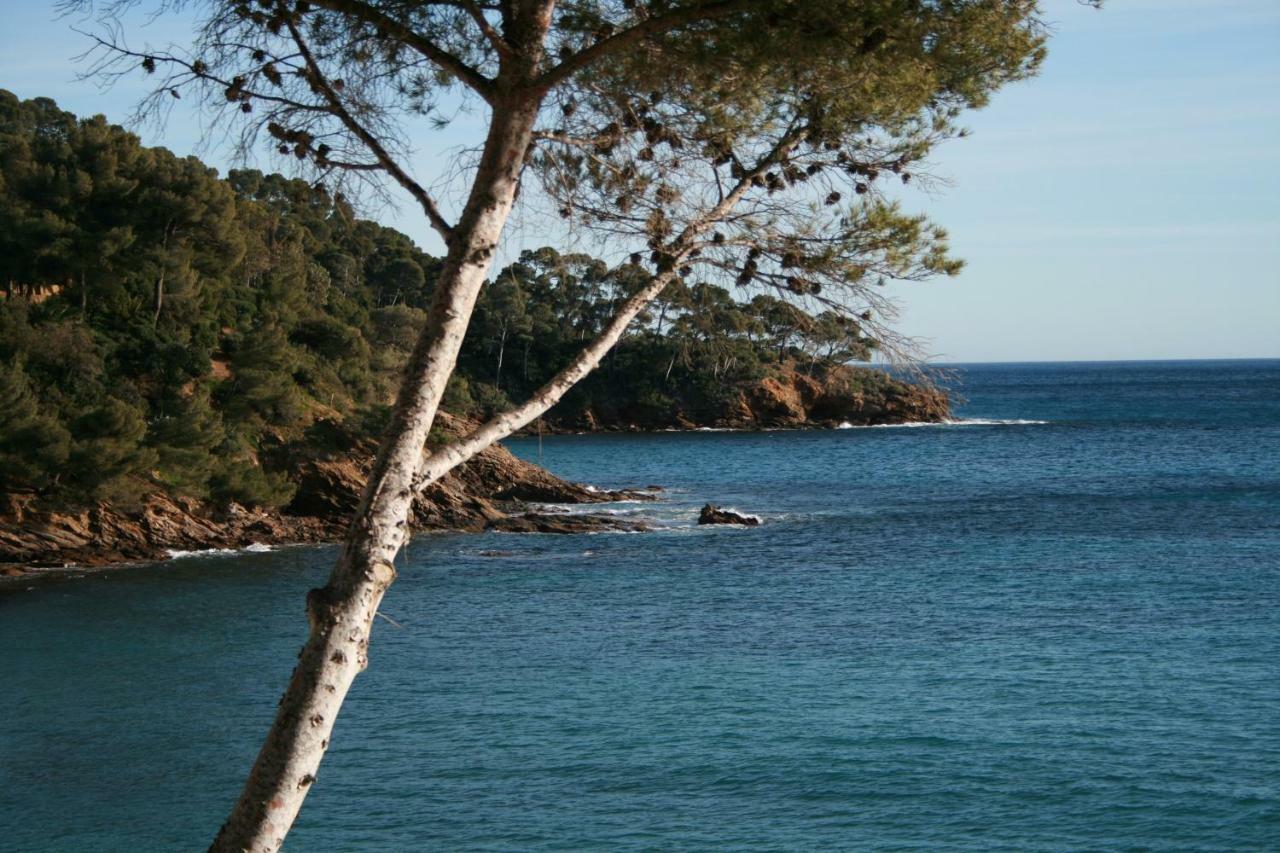 Villa Adriandre Le Le Rayol-Canadel-sur-Mer Exterior foto