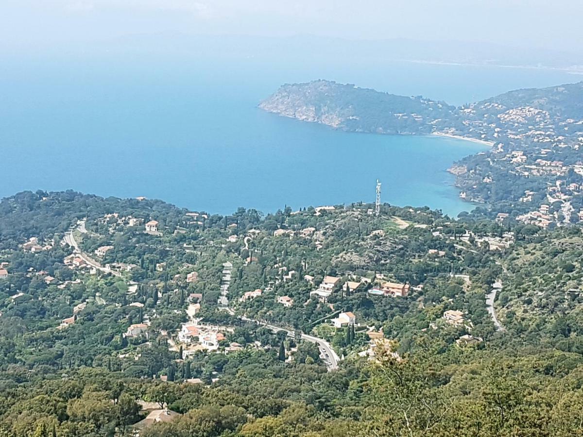 Villa Adriandre Le Le Rayol-Canadel-sur-Mer Exterior foto