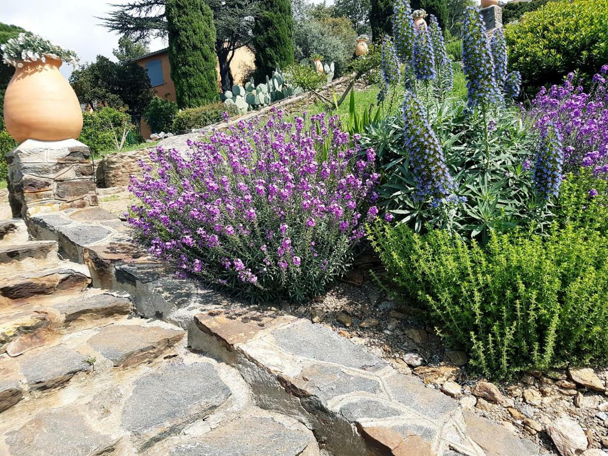 Villa Adriandre Le Le Rayol-Canadel-sur-Mer Exterior foto